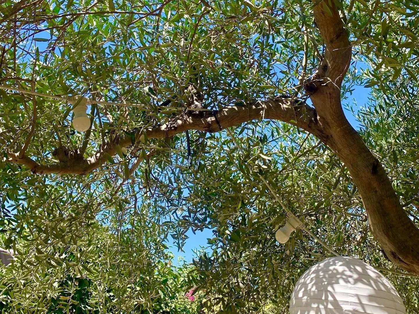 Hébergement de vacances Villa Casa Dell'Olio - Al Baglio à Paceco Italie